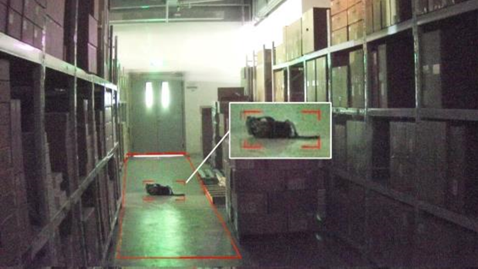 首页- 尊龙集团中国官方网站