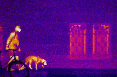 首页- 尊龙集团中国官方网站