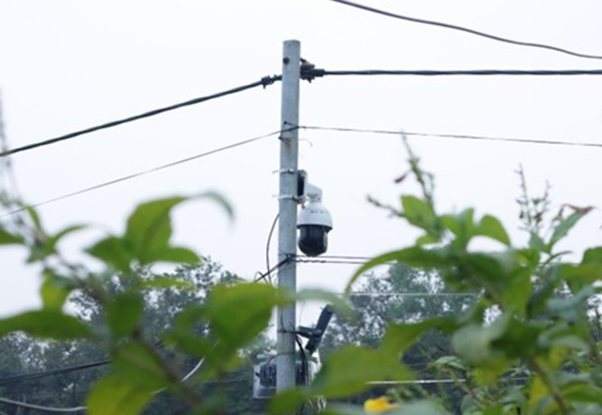 首页- 尊龙集团中国官方网站